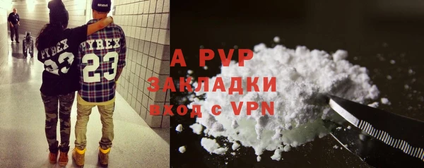 спиды Верея
