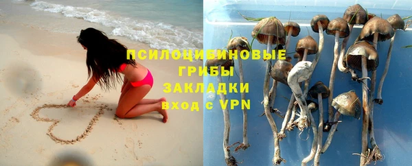 спиды Верея