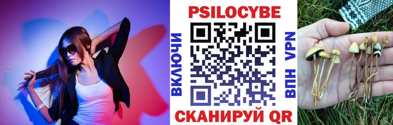 Псилоцибиновые грибы MAGIC MUSHROOMS  Купить закладки  Каменск-Шахтинский 